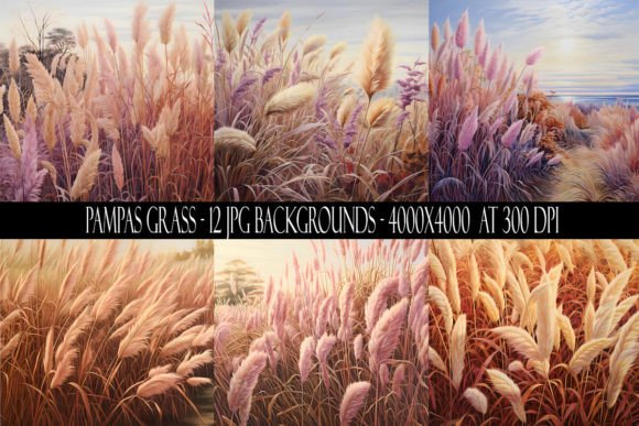 Pampas Grass Backgrounds: A Designer's Guide to Organic Texture